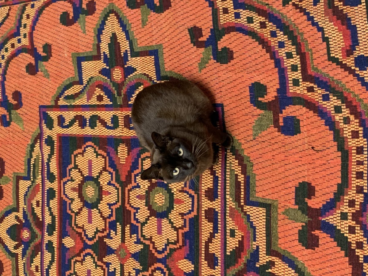 Burmese