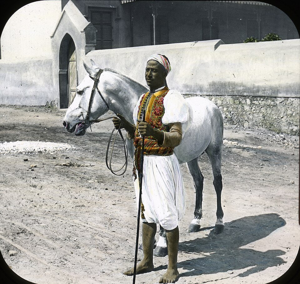 Arabian